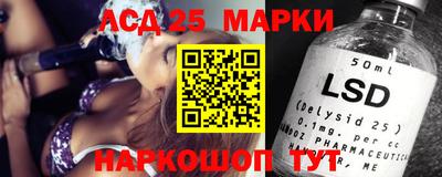 спайс Берёзовский