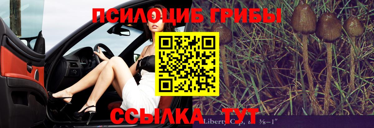Калач-на-Дону  Псилоцибиновые грибы MAGIC MUSHROOMS  Галлюциногенные грибы прущие грибы  Вход с VPN 